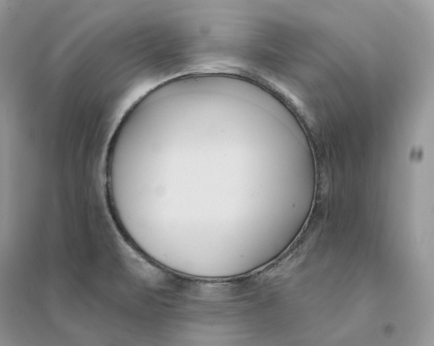 X0000094461471200711291711