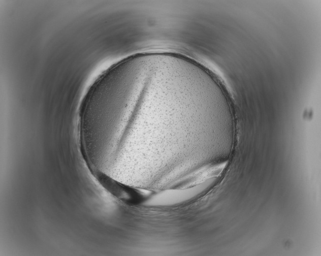 X0000094461472200711291711