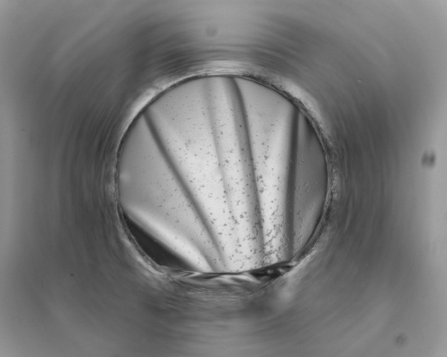 X0000094461473200711291711