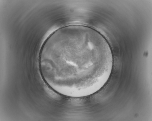 X0000094461474200711291711