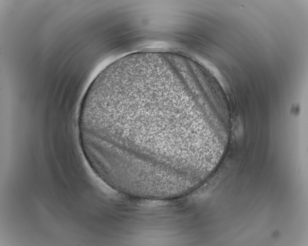 X0000094461475200711291711