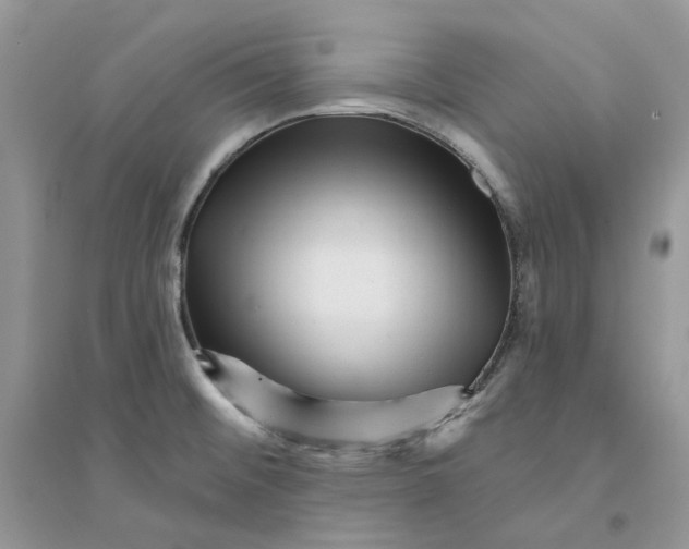 X0000094461476200711291711