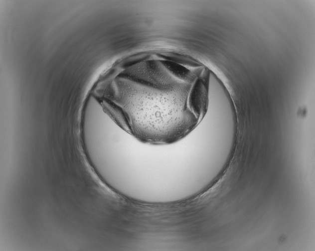 X0000094461477200711291711