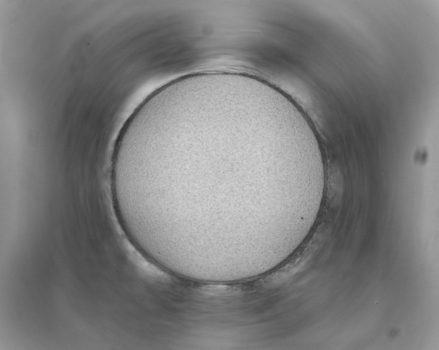 X0000094461478200711291711