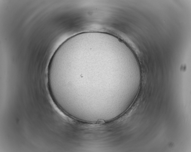 X0000094461479200711291710