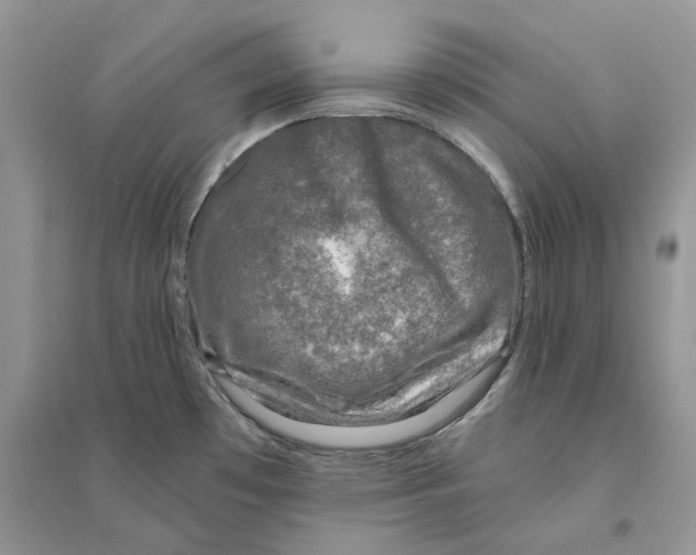 X0000094461481200711291710