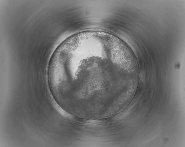 X0000094461482200711291710