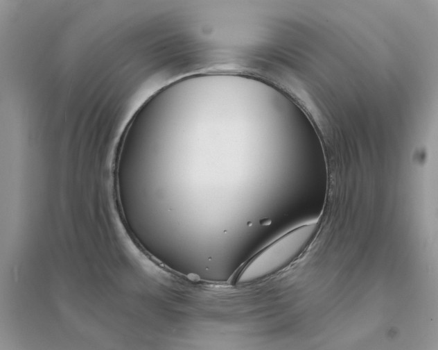 X0000094461483200711291710