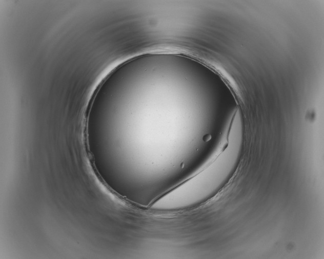 X0000094461484200711291710