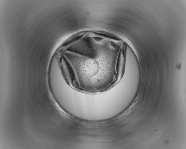 X0000094461485200711291710