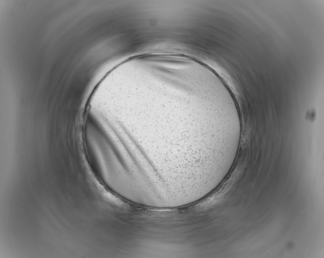 X0000094461486200711291710