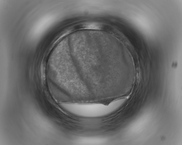 X0000094461487200711291710