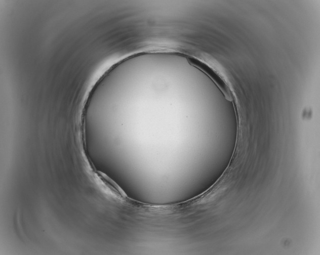 X0000094461488200711291710