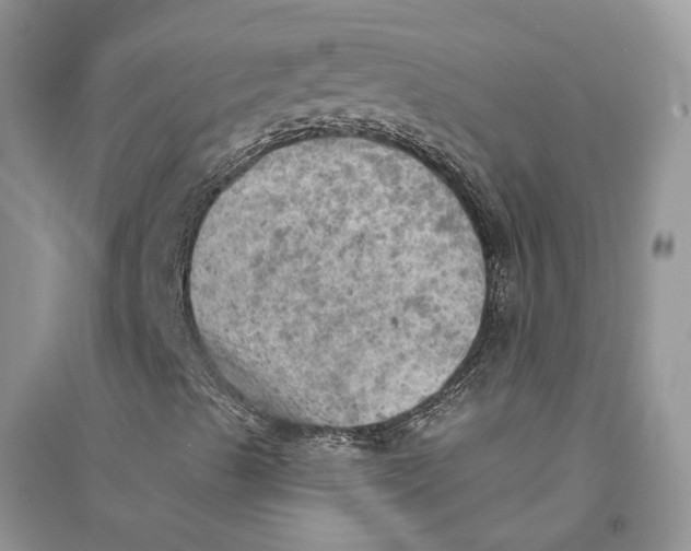 X0000094461489200711291710