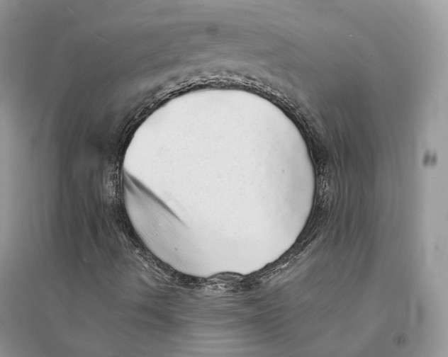 X0000094461490200711291710