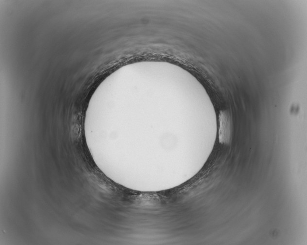 X0000094461491200711291710