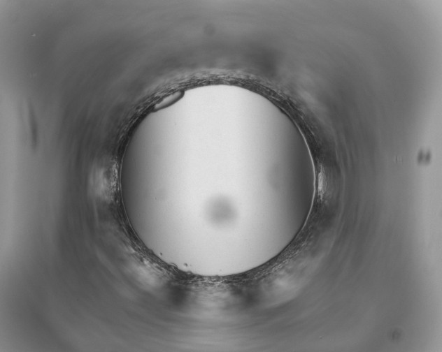 X0000094461492200711291710