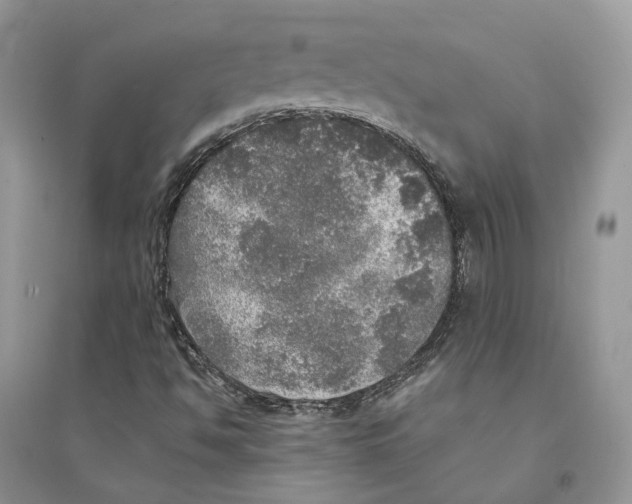 X0000094461494200711291710