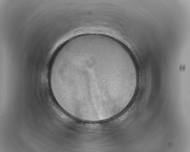 X0000094461498200711291710