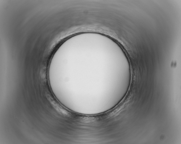 X0000094461499200711291710