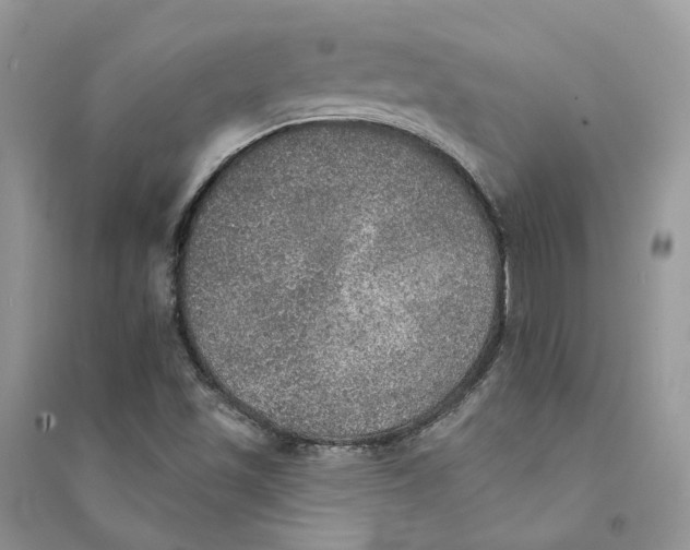 X0000094461501200711291710