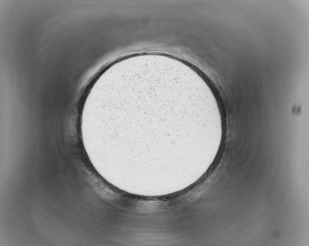 X0000094461502200711291710