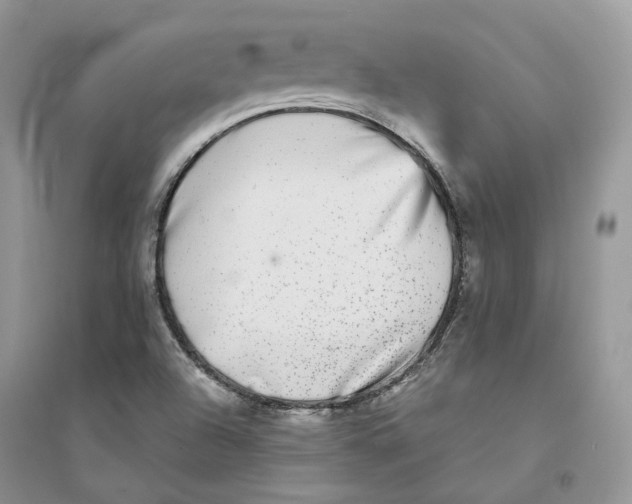 X0000094461504200711291710