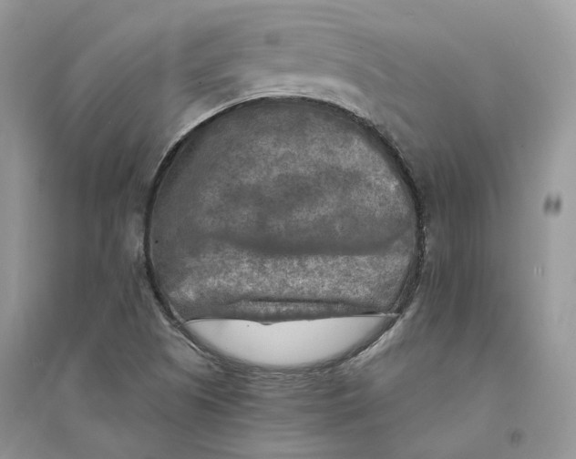 X0000094461505200711291710