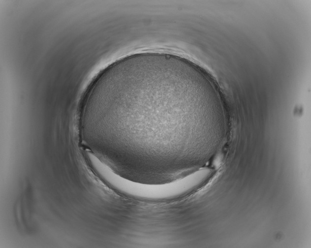 X0000094461506200711291710