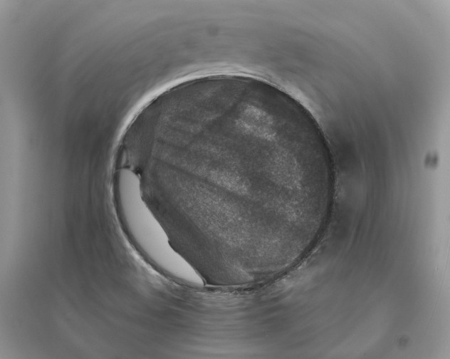 X0000094461508200711291710