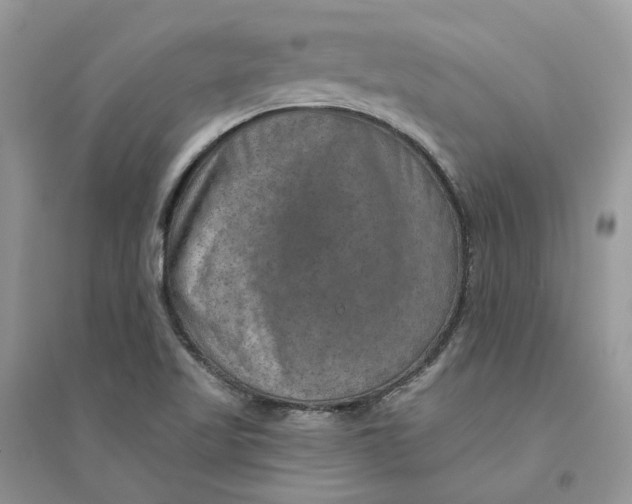 X0000094461509200711291710