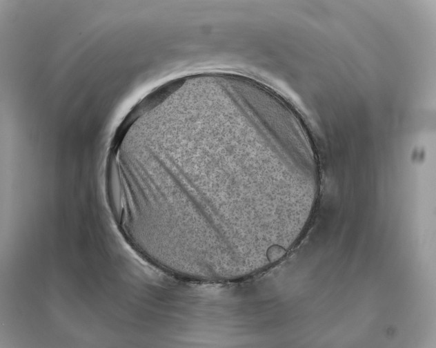 X0000094461512200711291710