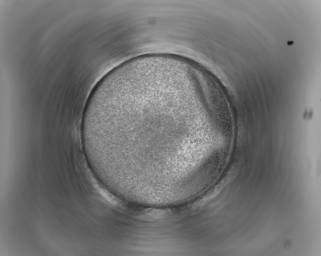 X0000094461513200711291710