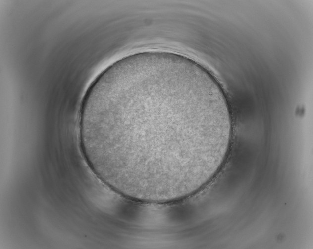 X0000094461514200711291710