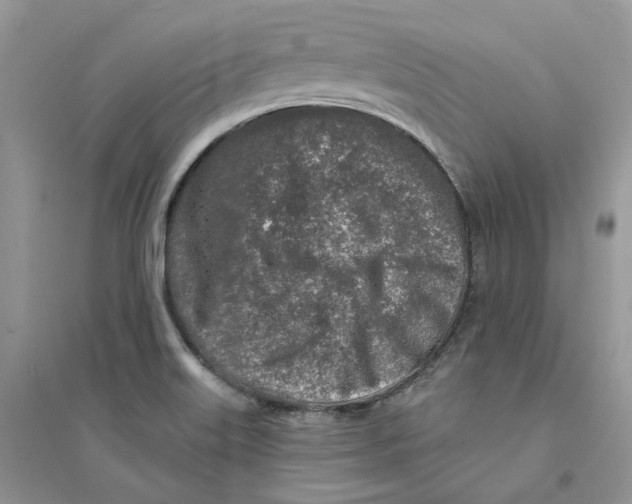 X0000094461515200711291710