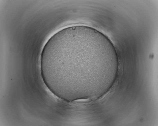 X0000094461516200711291710