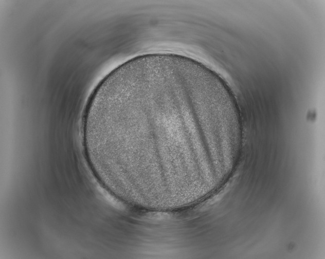 X0000094461517200711291710