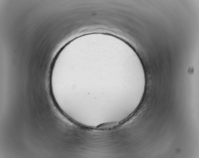 X0000094461518200711291710