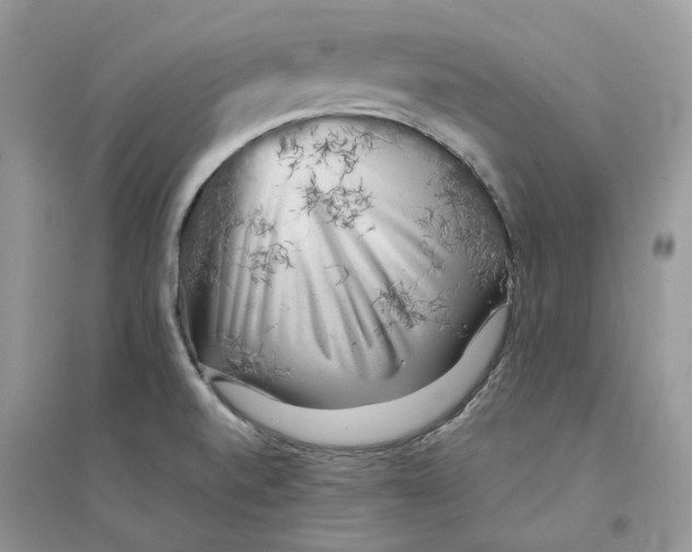 X0000094461520200711291710