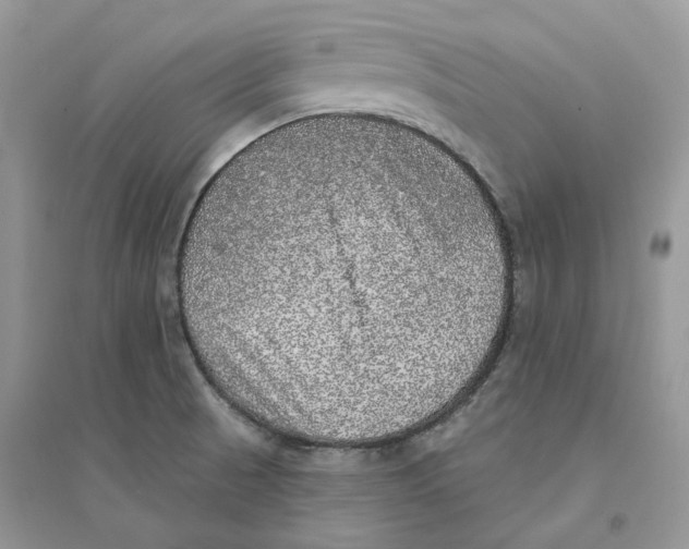 X0000094461521200711291710