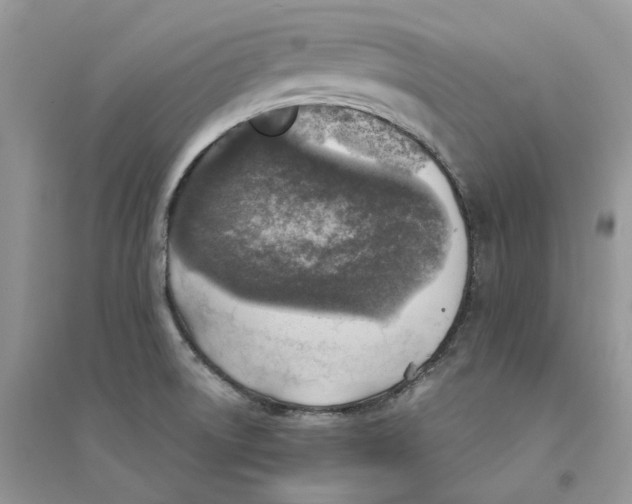 X0000094461522200711291710