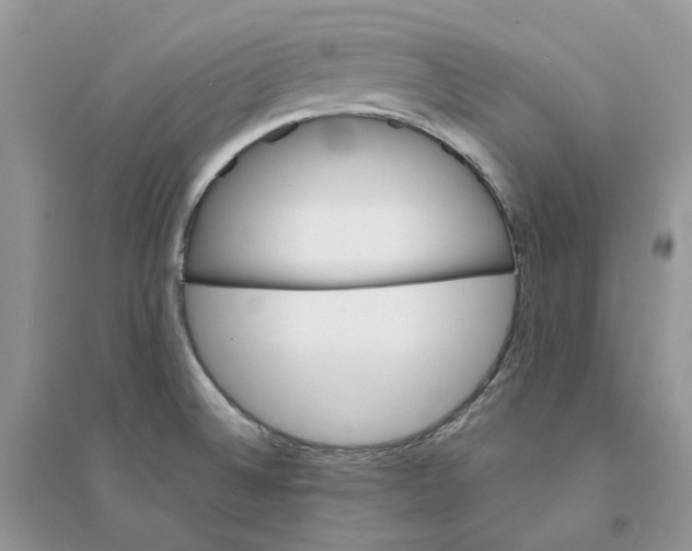 X0000094461524200711291710