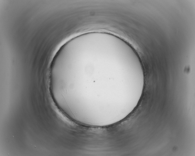 X0000094461526200711291710