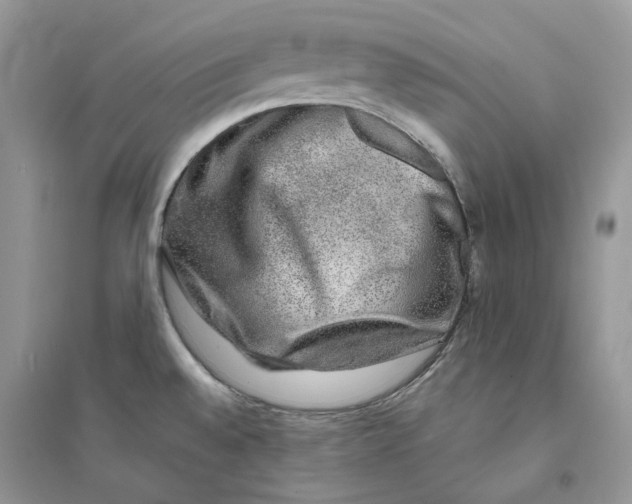 X0000094461528200711291710