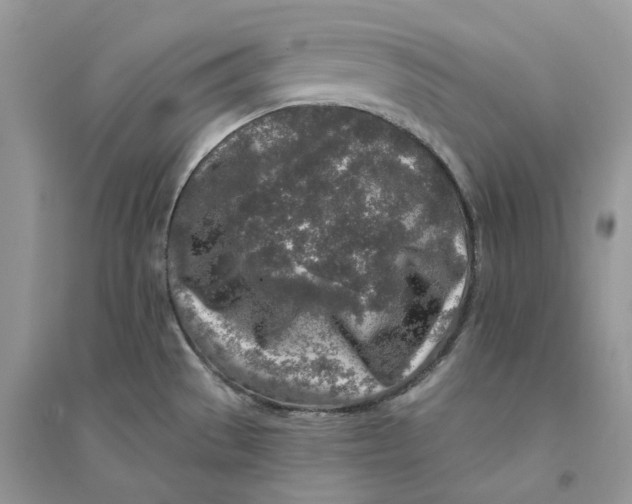 X0000094461529200711291710