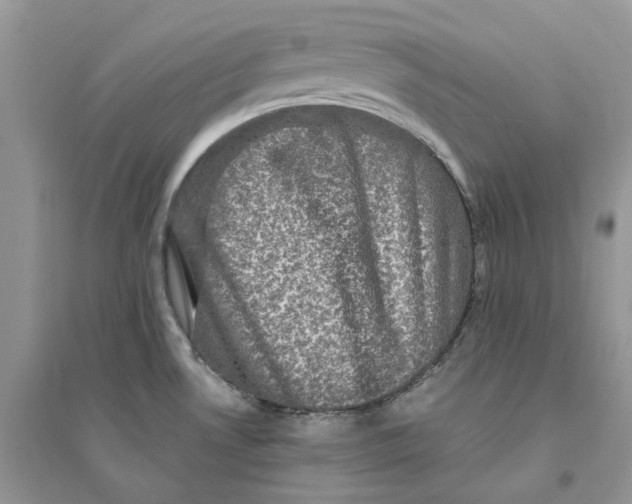 X0000094461530200711291710