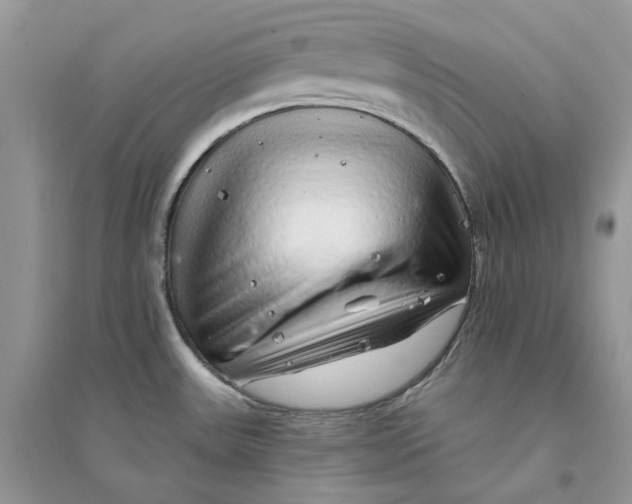 X0000094461531200711291710