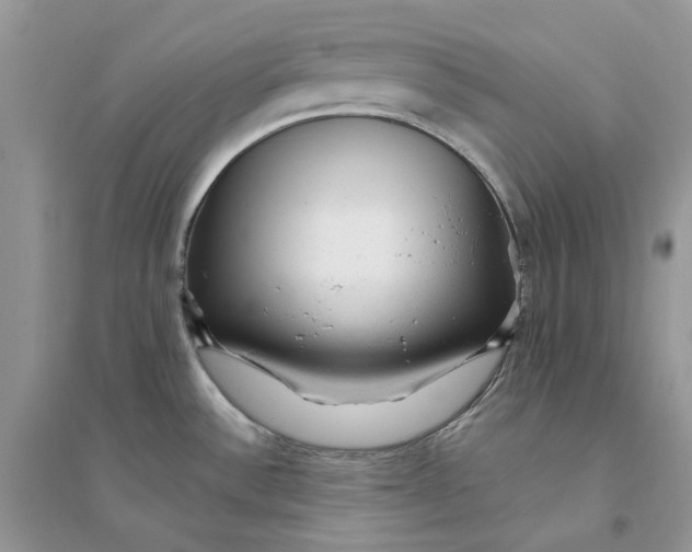 X0000094461532200711291710