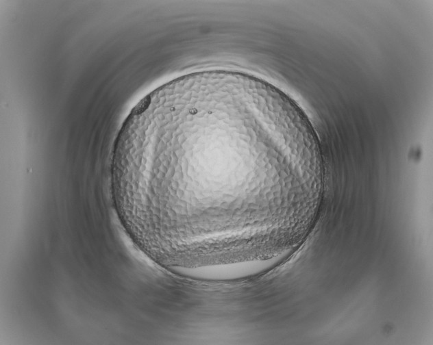 X0000094461534200711291710