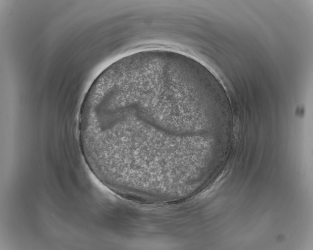 X0000094461535200711291710